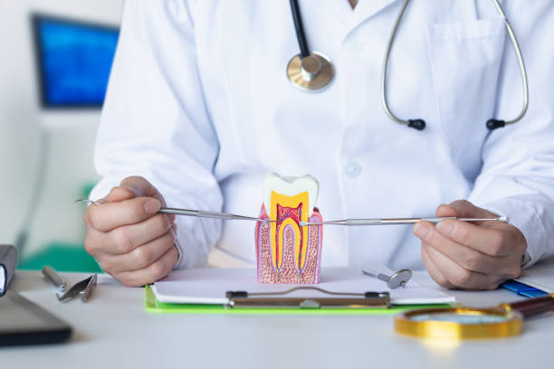 Reliable NJ Emergency Dental Service Solutions